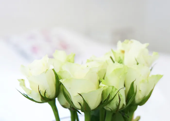 Gamlebyen - Hotell 3*