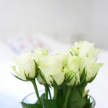 Gamlebyen - מלון 3*